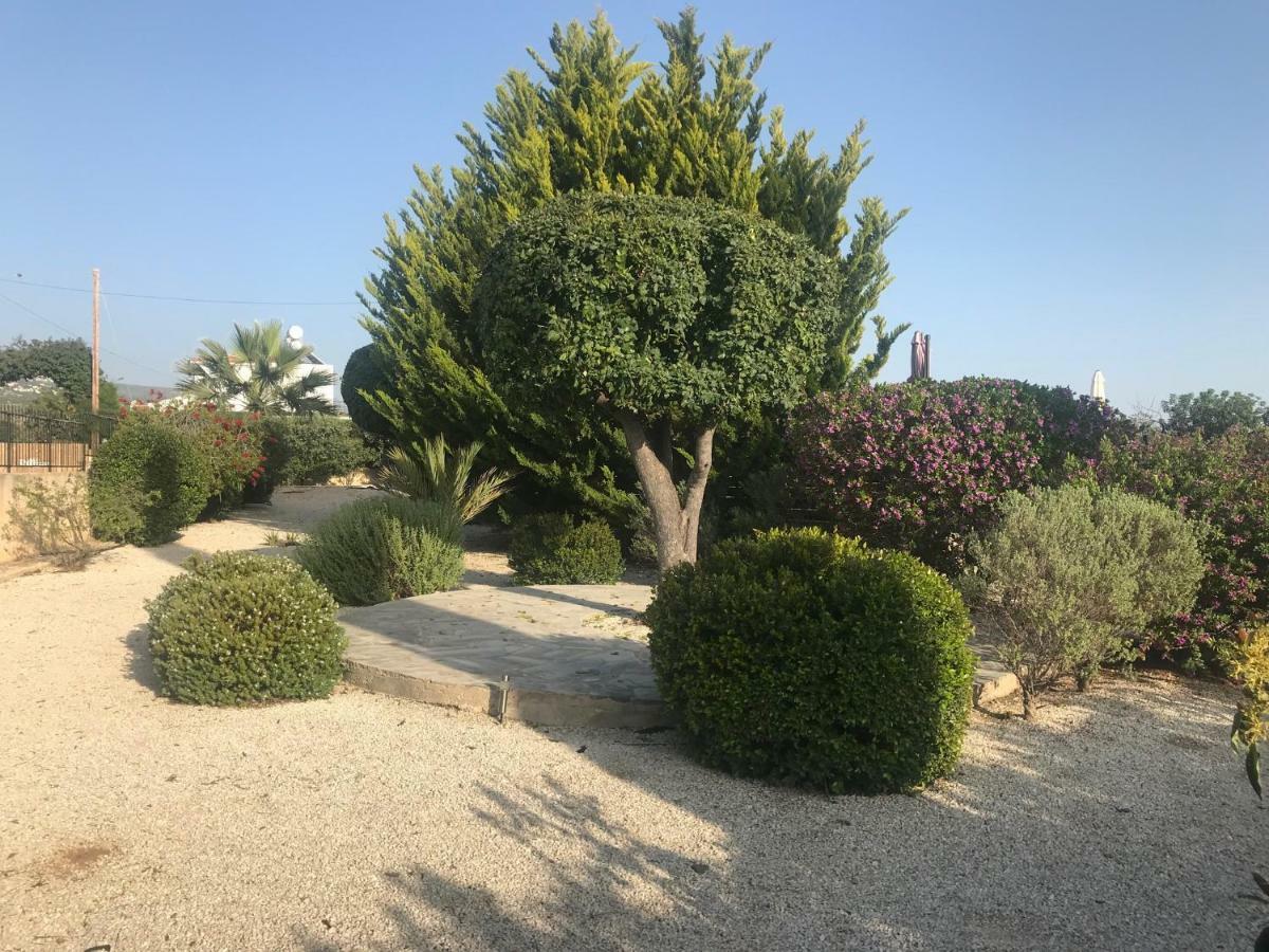 Lilly Villa Peyia Dış mekan fotoğraf